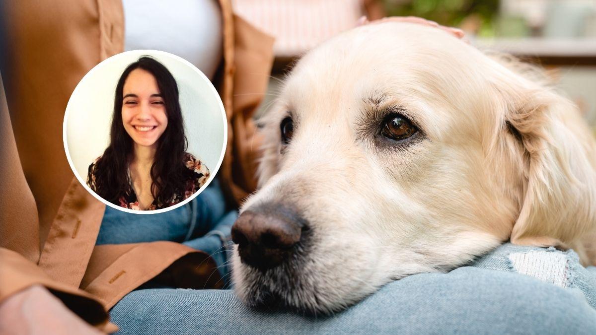 Jungla Luque, adiestradora: “Si tu perro apoya la cabeza sobre ti no es solo amor, te pide ayuda para regularse emocionalmente”