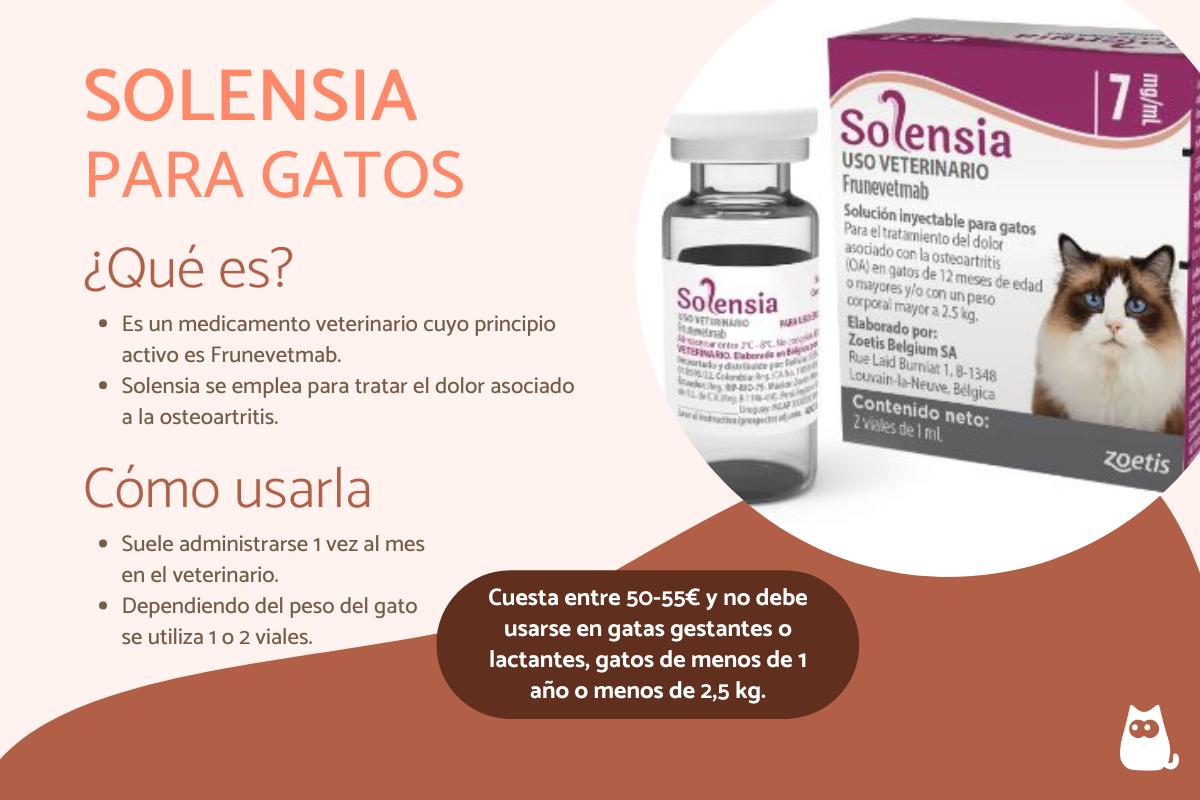 Solensia para gatos - Dosis, efectos secundarios y precio