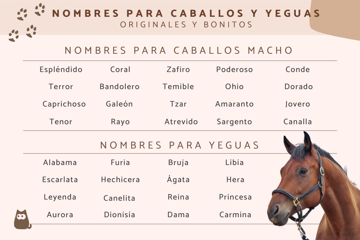 Nombres para caballos y yeguas