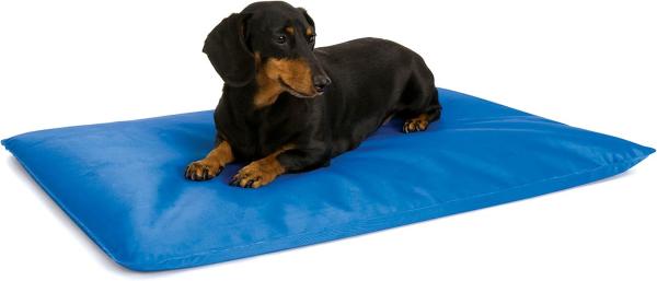 Las mejores camas refrescantes para perros - Cama de agua