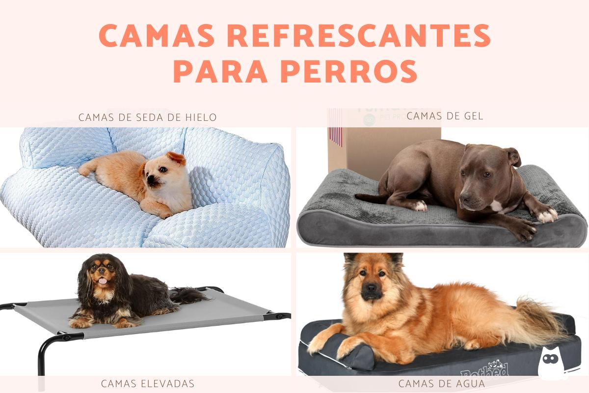 Las mejores camas refrescantes para perros