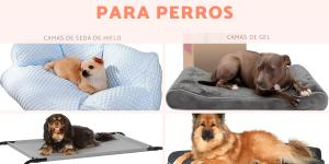 Las mejores camas refrescantes para perros
