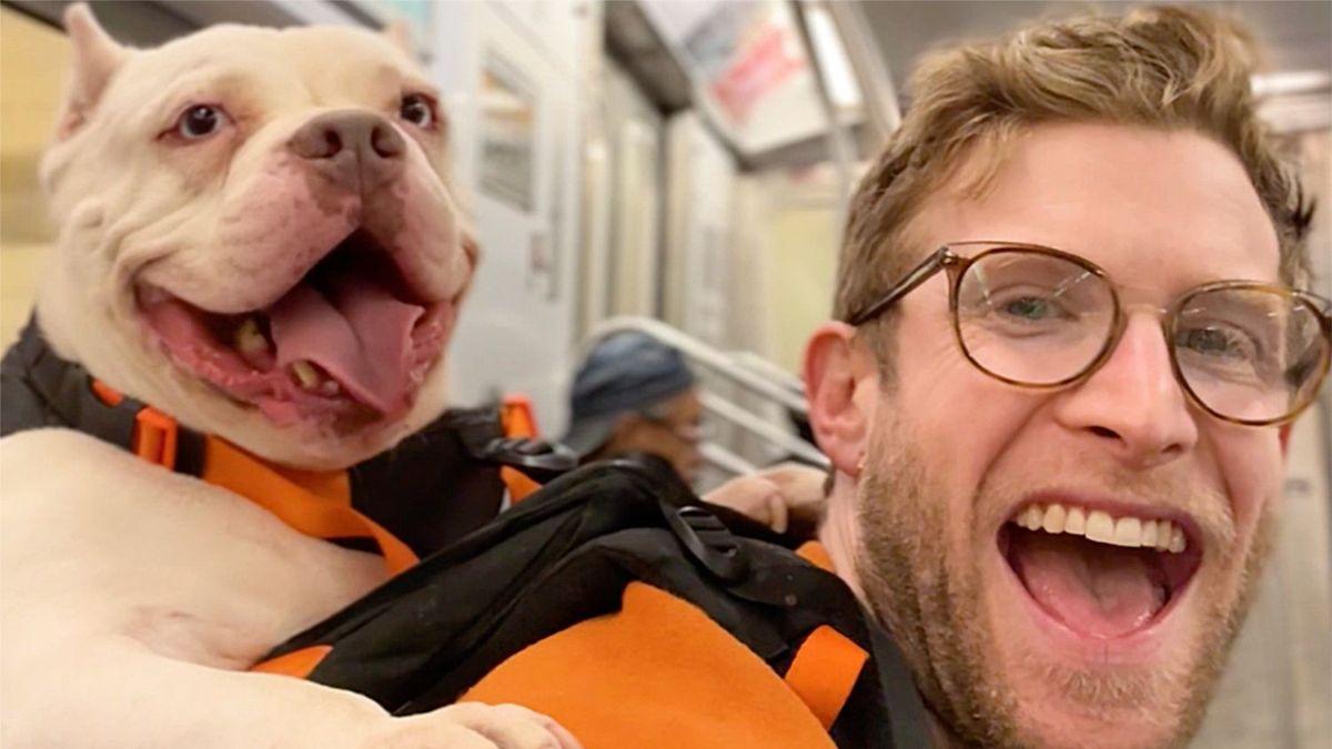 Un influencer estadounidense ayuda a cientos de perros abandonados a encontrar una familia con una idea muy sencilla: sacarlos a pasear