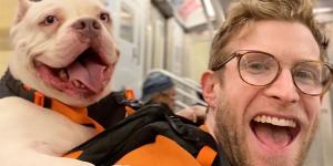 Un influencer estadounidense ayuda a cientos de perros abandonados a encontrar una familia con una idea muy sencilla: sacarlos a pasear