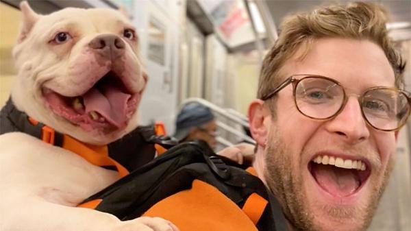 Un influencer estadounidense ayuda a cientos de perros abandonados a encontrar una familia con una idea muy sencilla: sacarlos a pasear