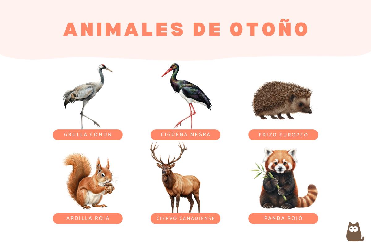 Animales de otoño