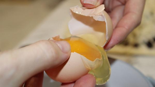 María Pascual, veterinaria: "Este es el motivo por el que todos los días doy a mi perro de 15 años membrana de cáscara de huevo" - Así debes dar membrana de huevo a tu perro de manera segura según la veterinaria