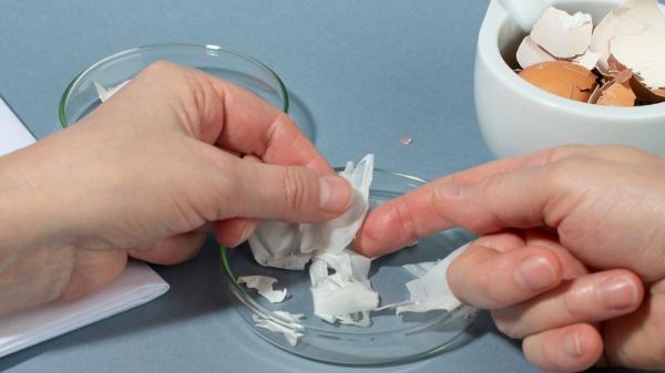 María Pascual, veterinaria: "Este es el motivo por el que todos los días doy a mi perro de 15 años membrana de cáscara de huevo" - No es un truco: la membrana de huevo puede mejorar las articulaciones de tu perro