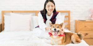 Japón cambia las reglas del alquiler: así son los pisos diseñados para vivir con mascotas