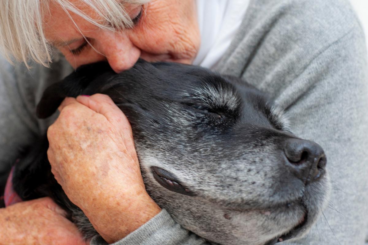¿Cómo se despiden los perros antes de morir?