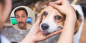 Juan Manuel Liquindoli, educador canino: “Cuando tu perro te huele, su cerebro activa la zona de recompensa”