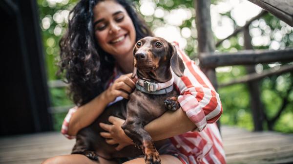 Juan Manuel Liquindoli, educador canino: “Cuando tu perro te huele, su cerebro activa la zona de recompensa” - Los perros usan el olfato para reconocer a sus tutores