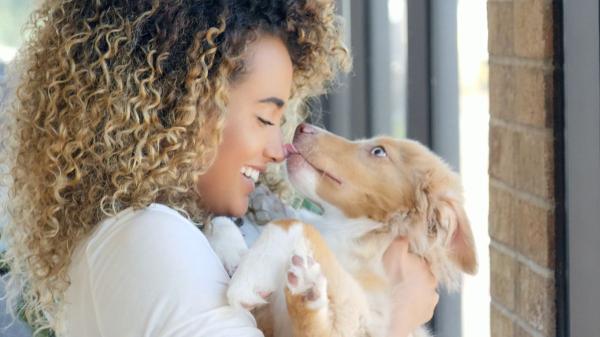 Juan Manuel Liquindoli, educador canino: “El lamido en perros no siempre es un ‘te quiero’, la mayoría de veces expresa incomodidad” - Cómo interpretar correctamente el lamido de un perro