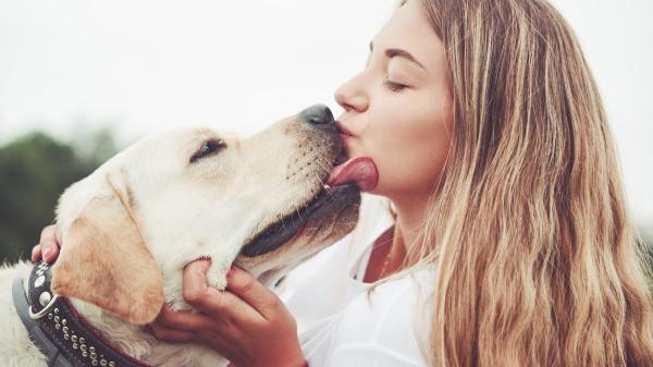 Juan Manuel Liquindoli, educador canino: “El lamido en perros no siempre es un ‘te quiero’, la mayoría de veces expresa incomodidad” - El significado oculto detrás de los lamidos de los perros