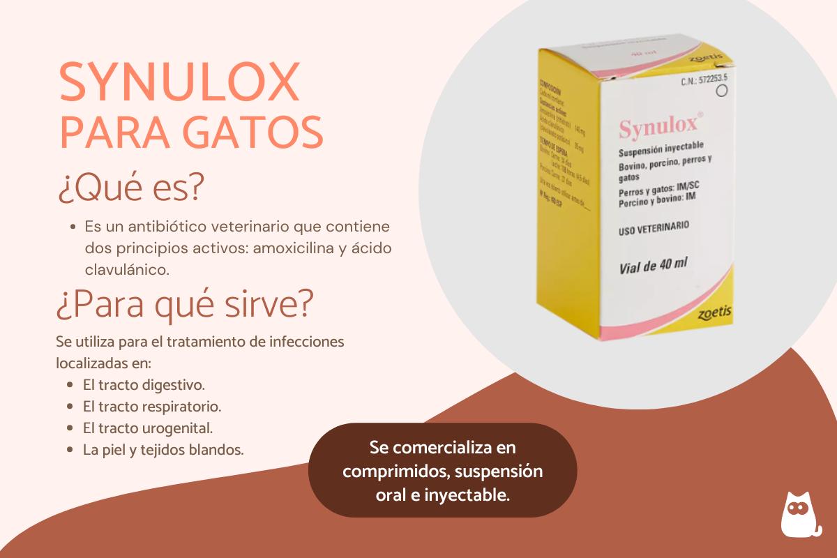 Synulox para gatos: dosis y cómo usar