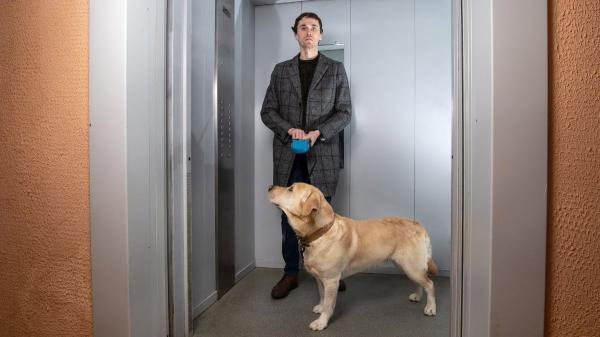 Ya es oficial: el perro Júpiter podrá subir al ascensor tras la decisión de la Corte Constitucional colombiana - La normativa española sobre los perros en comunidades de propietarios