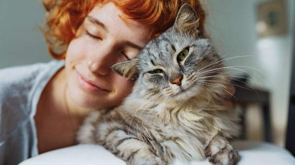 Los psicólogos coinciden: las personas que prefieren los gatos tienden a ser más curiosas, creativas y abiertas que las que eligen perros - La razón por la que los amantes de los gatos son más abiertos a vivir nuevas experiencias, según la psicología