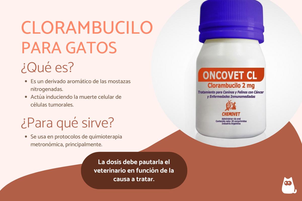 Clorambucilo para gatos: dosis, usos y efectos secundarios