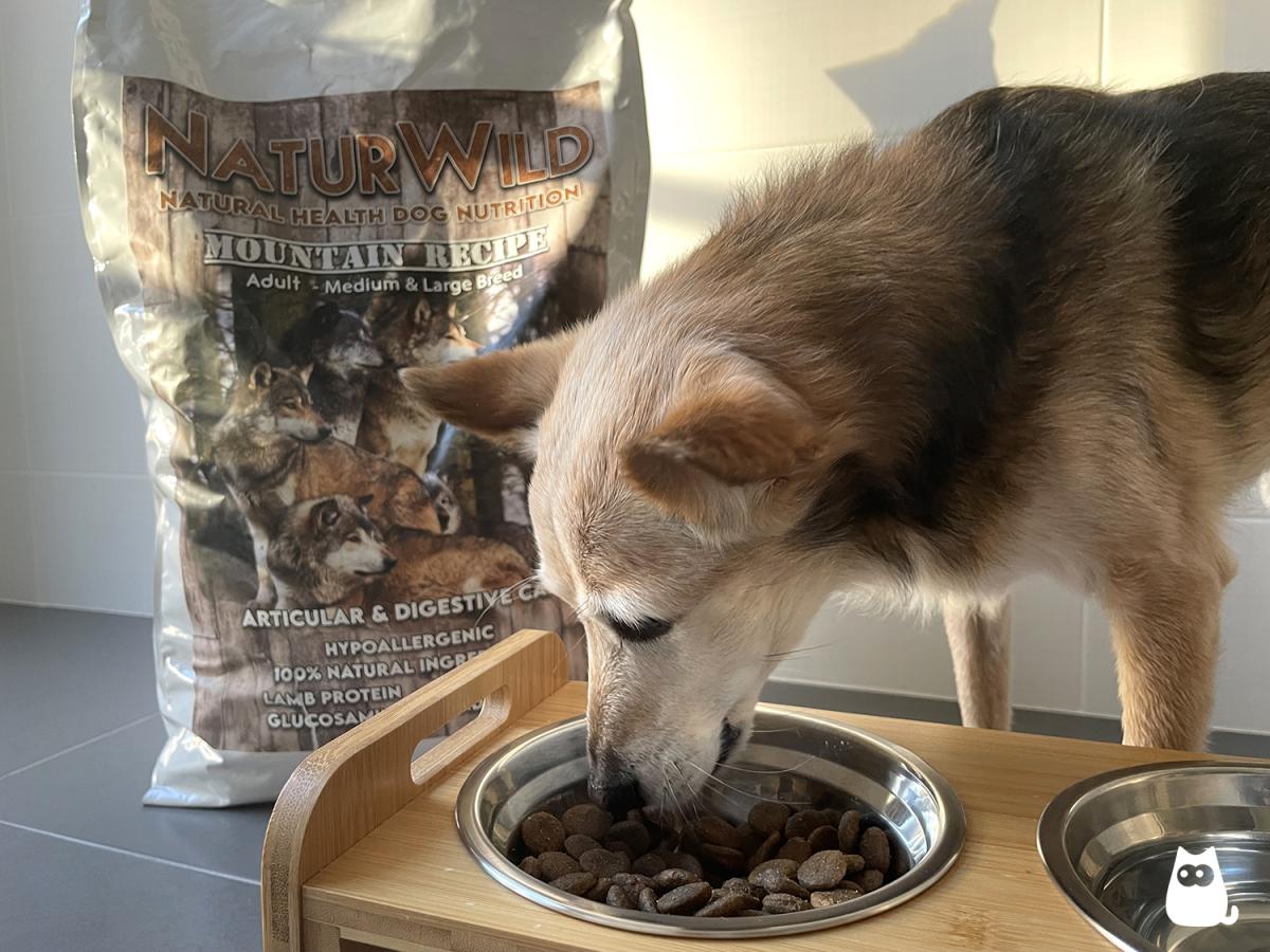 Pienso NaturWild - Composición, opiniones y precio