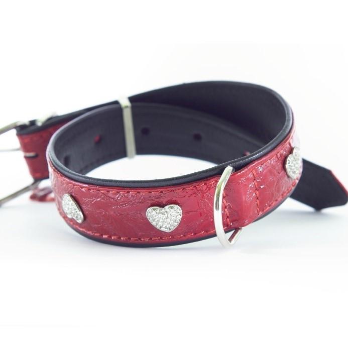 los collares de cadena de metal son dañinos para los perros