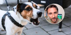 Juan Manuel Liquindoli, educador canino: “Los perros que ladran a todo en la calle pueden estar desbordados por el estrés que acumulan en casa”