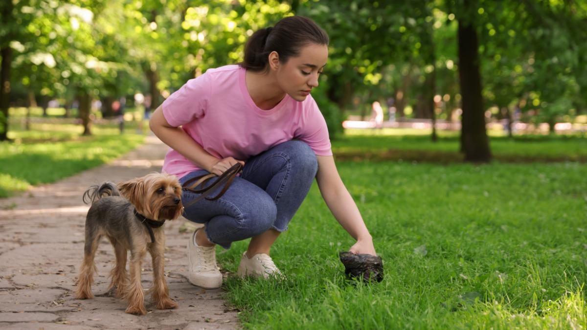 Getafe instala máquinas de bolsas gratis para las heces de perros: así puedes conseguirlas y evitar multas de hasta 750 euros
