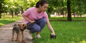 Getafe instala máquinas de bolsas gratis para las heces de perros: así puedes conseguirlas y evitar multas de hasta 750 euros