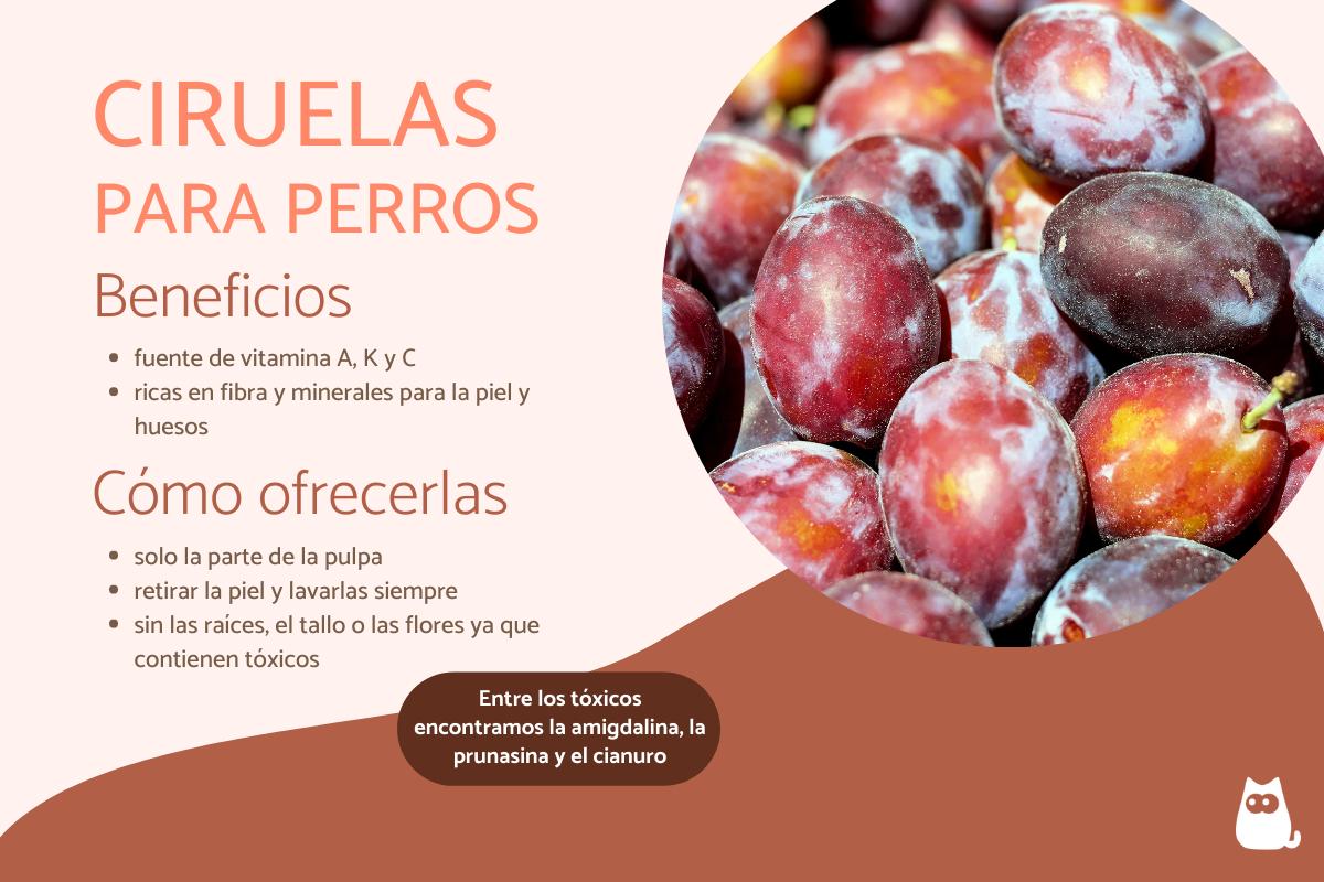 ¿Los perros pueden comer ciruelas?