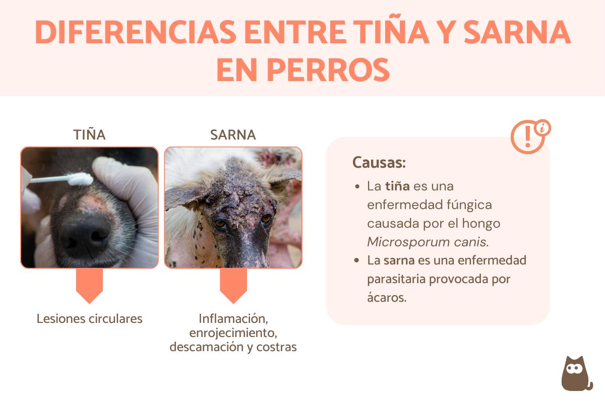 Diferencias entre tiña y sarna en perros