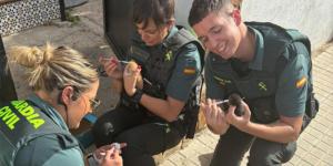 La Guardia Civil rescata en Madrid a tres gatitos recién nacidos abandonados en una caja y con el cordón umbilical