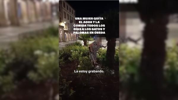 Indignación por una mujer que retira el agua a una colonia de gatos: qué dice la ley y por qué supone un grave riesgo para los animales