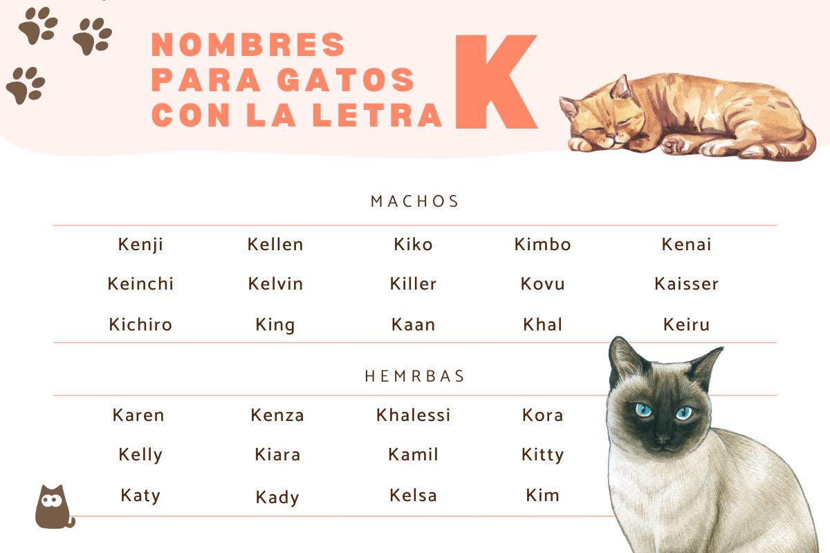 Nombres para gatos con K