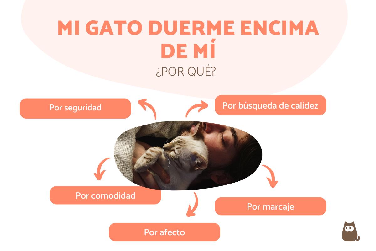 ¿Por qué a los gatos les gusta dormir encima de las personas?