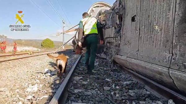 Así trabajan los agentes caninos de la Guardia Civil en el rastreo de víctimas de los trenes de Adamuz - Animales que salvan vidas: por qué los perros son insustituibles en tragedias como la de Adamuz
