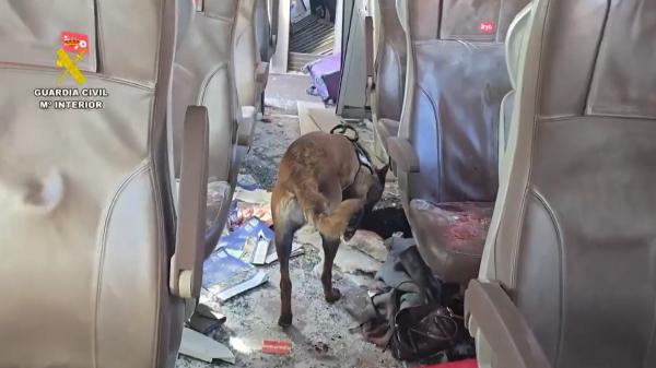Así trabajan los agentes caninos de la Guardia Civil en el rastreo de víctimas de los trenes de Adamuz