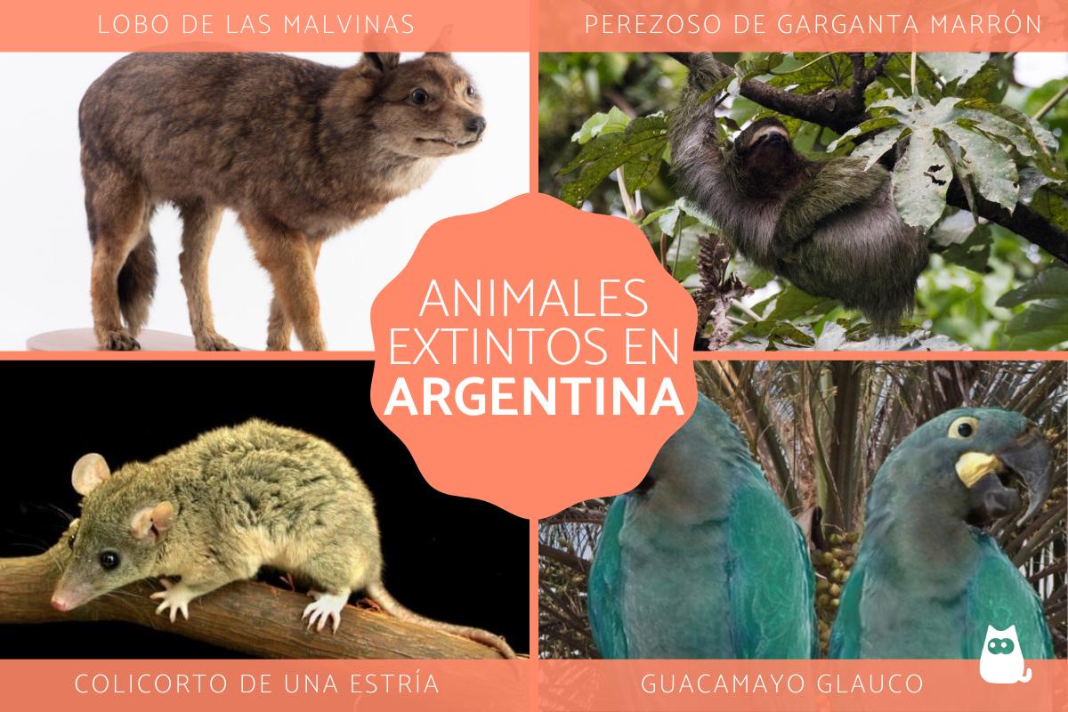 Animales extintos en Argentina