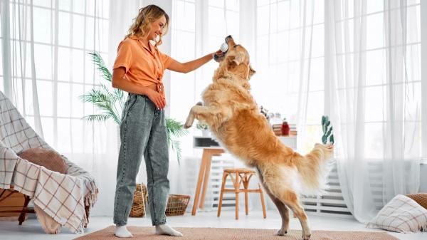 Juan Manuel Liquindoli, educado canino: “Tu perro ‘habla’ cuando ladra y esto es lo que intenta decirte” - El ladrido de juego: la invitación a la diversión que no querrás perderte