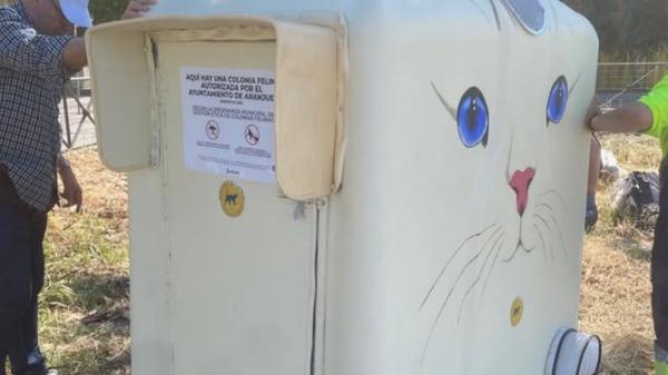 Transforman contenedores de vidrio en refugios para gatos callejeros: el nuevo hogar de las colonias felinas en Aranjuez - Así son los refugios reciclados que Aranjuez usará para proteger a los gatos callejeros