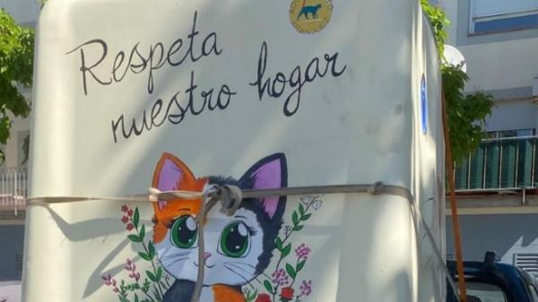 Transforman contenedores de vidrio en refugios para gatos callejeros: el nuevo hogar de las colonias felinas en Aranjuez - Estos refugios unen reciclaje, sostenibilidad y convivencia urbana