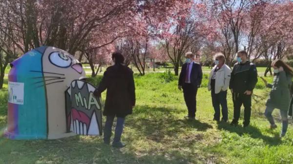 Transforman contenedores de vidrio en refugios para gatos callejeros: el nuevo hogar de las colonias felinas en Aranjuez - Otros municipios españoles ya han aplicado este modelo