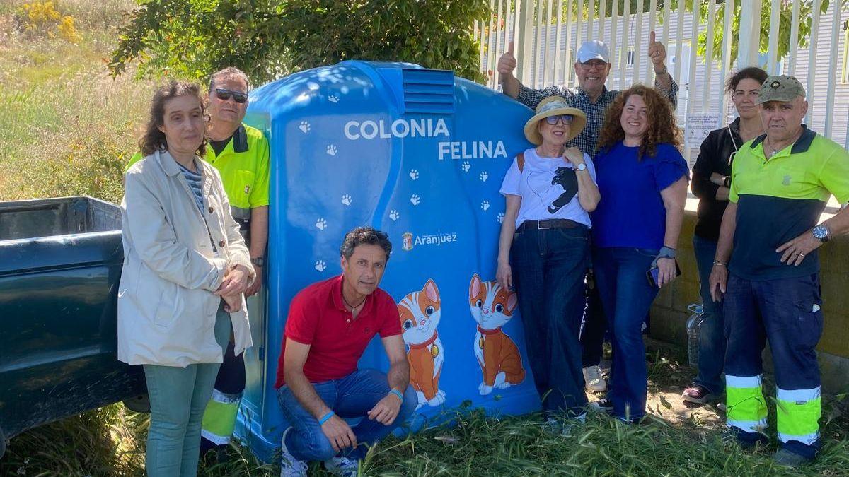 Transforman contenedores de vidrio en refugios para gatos callejeros: el nuevo hogar de las colonias felinas en Aranjuez