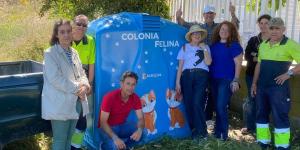 Transforman contenedores de vidrio en refugios para gatos callejeros: el nuevo hogar de las colonias felinas en Aranjuez