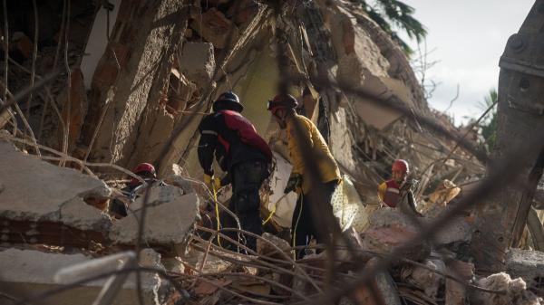 El emocionante rescate de la perrita Monic tras los terremotos de Venezuela: las mascotas, las otras víctimas del desastre - Así trabajan los equipos de rescate para salvar animales entre los escombros