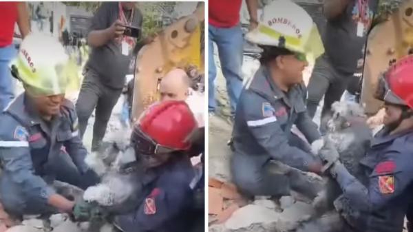 El emocionante rescate de la perrita Monic tras los terremotos de Venezuela: las mascotas, las otras víctimas del desastre