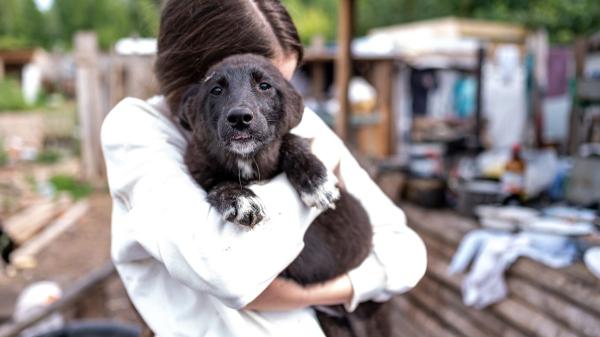 El emocionante rescate de la perrita Monic tras los terremotos de Venezuela: las mascotas, las otras víctimas del desastre - Las mascotas, las otras víctimas del terremoto en Venezuela