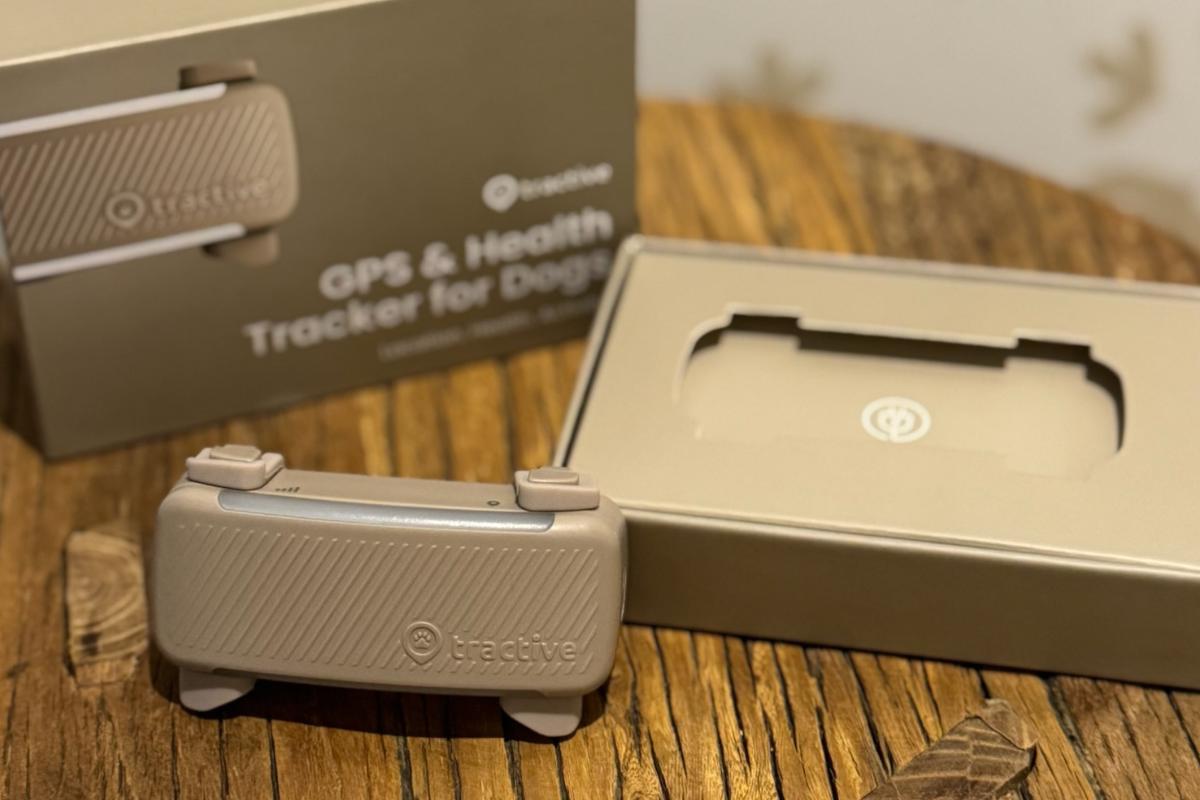 Nuevo Tractive GPS DOG6: opiniones y precio