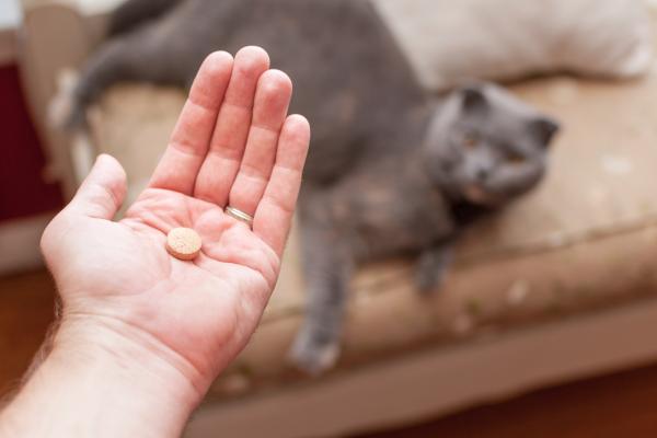 Prazitel para gatos: dosis y usos - ¿Cuál es la dosis de prazitel para gatos?