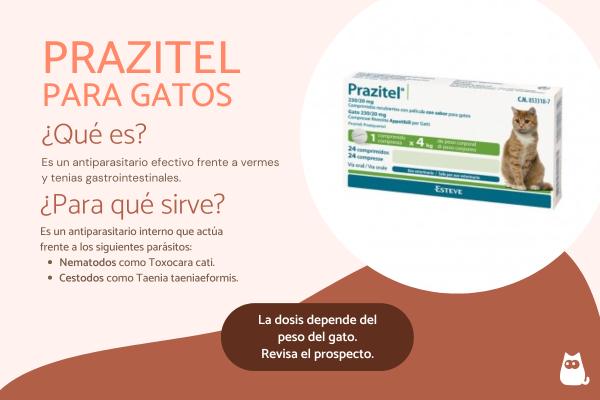 Prazitel para gatos: dosis y usos