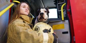 Así trabajan los perros de rescate para encontrar personas en un terreno arrasado por el fuego