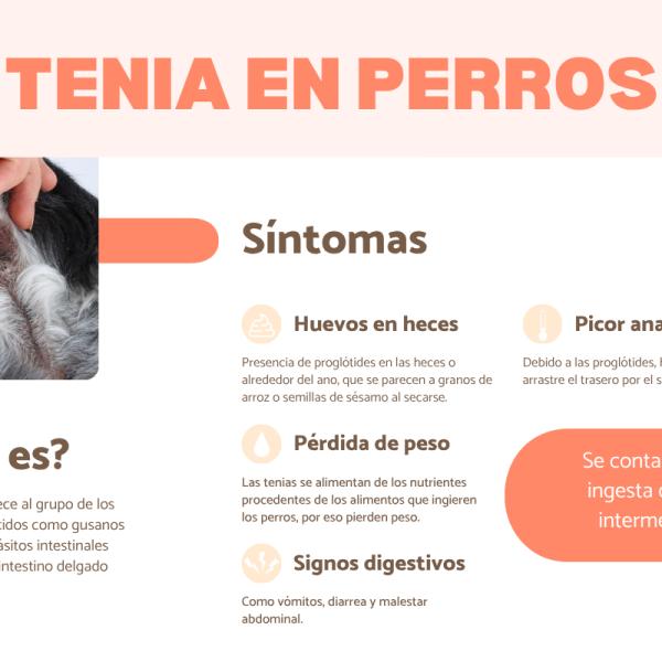 de mata las tenias en los perros